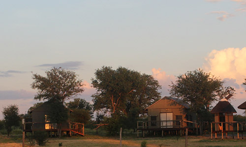 bush camp 3