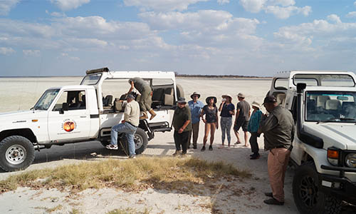 desert safari